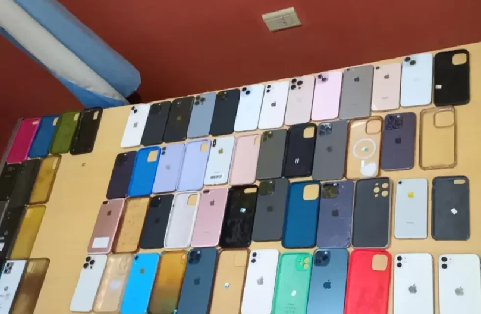CELULARES