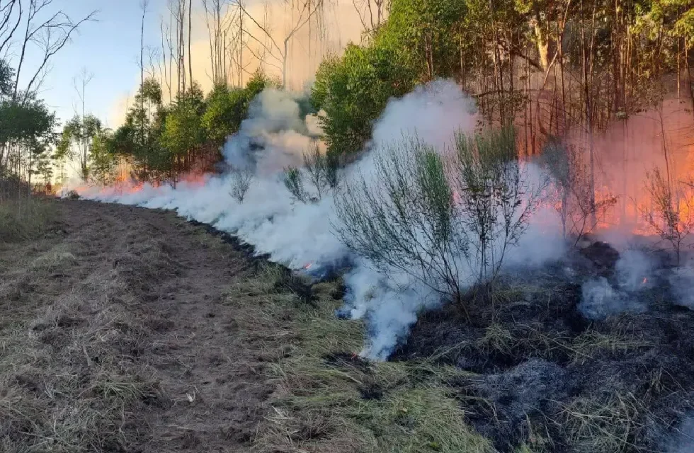 FUEGO