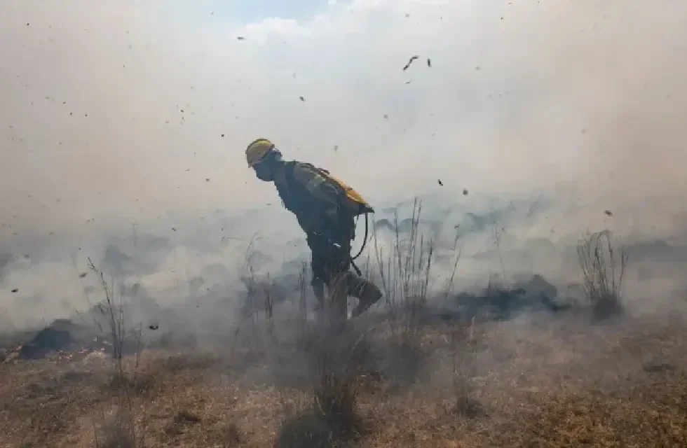 FUEGO (3)