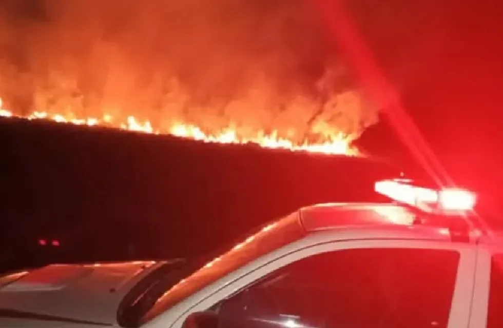 FUEGO (5)