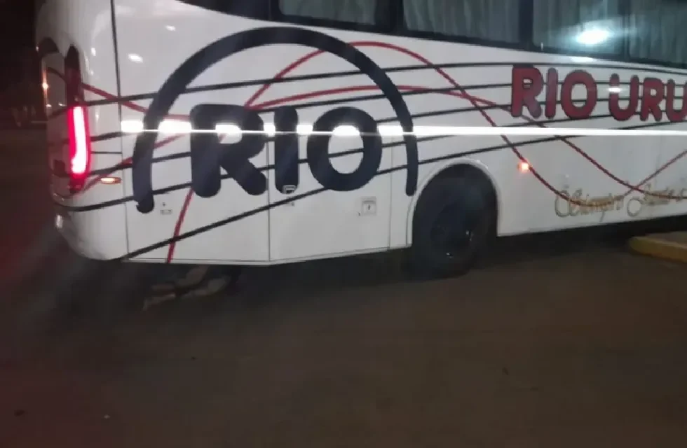 colectivo