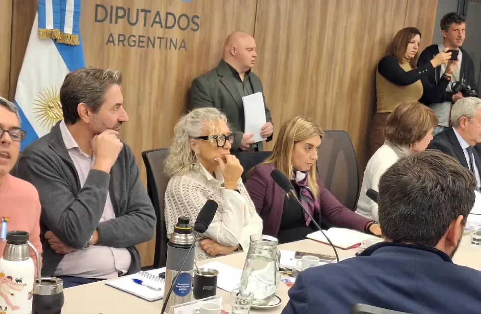 diputados