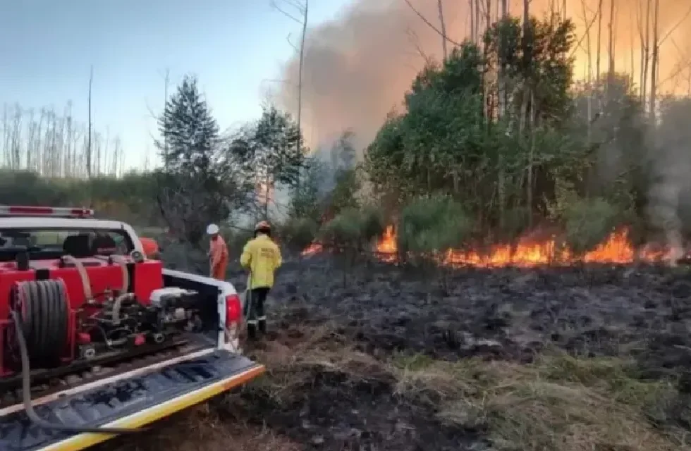 fuego (1)